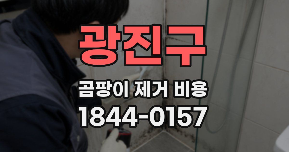 광진구 곰팡이 제거 비용