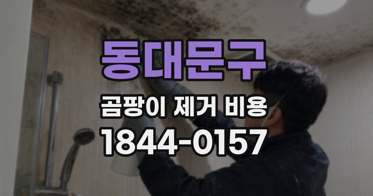 동대문구 곰팡이 제거 비용