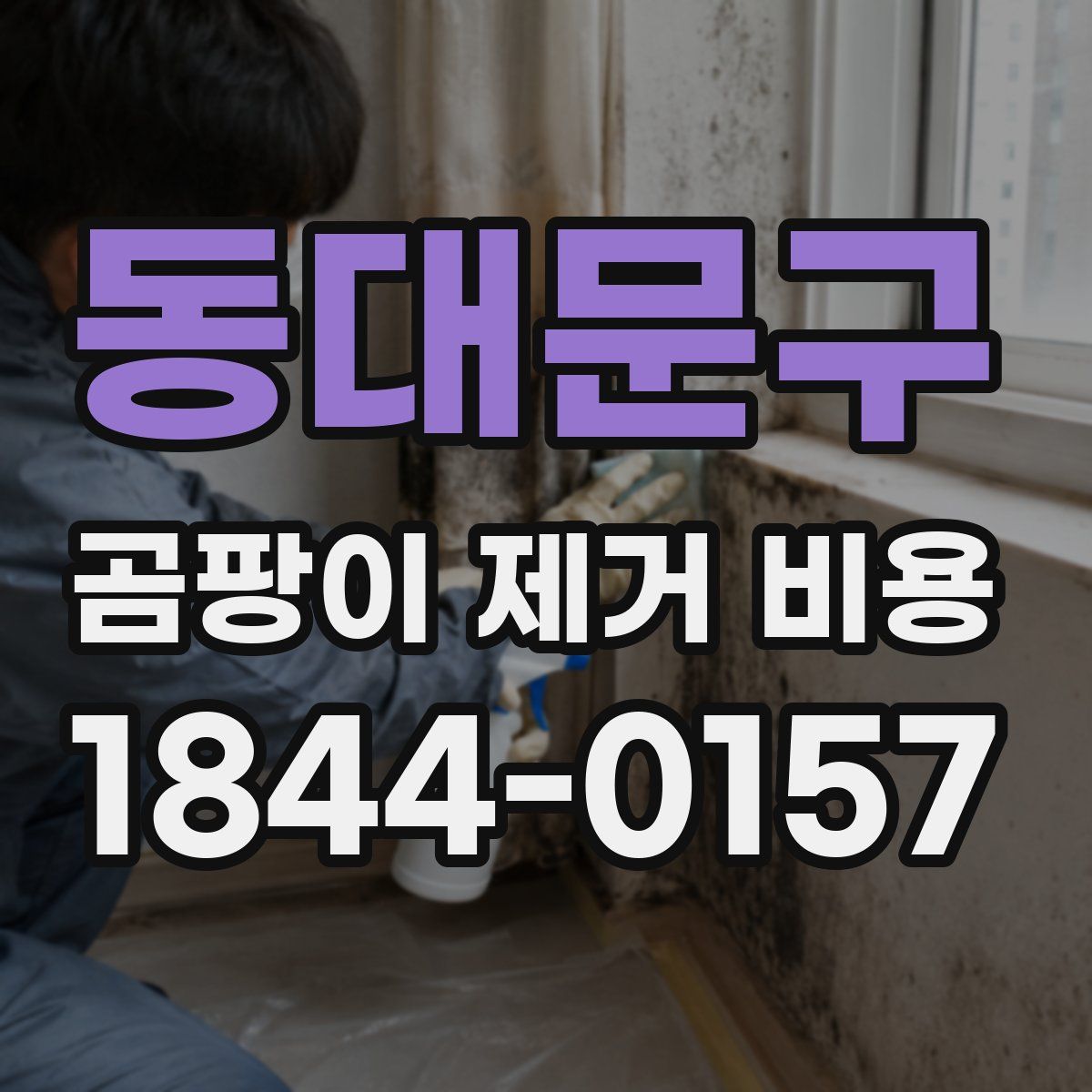 동대문구 곰팡이 제거 비용