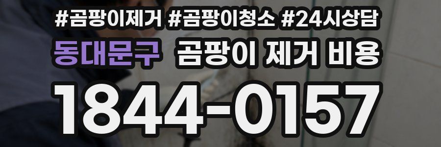 동대문구 곰팡이 제거 비용