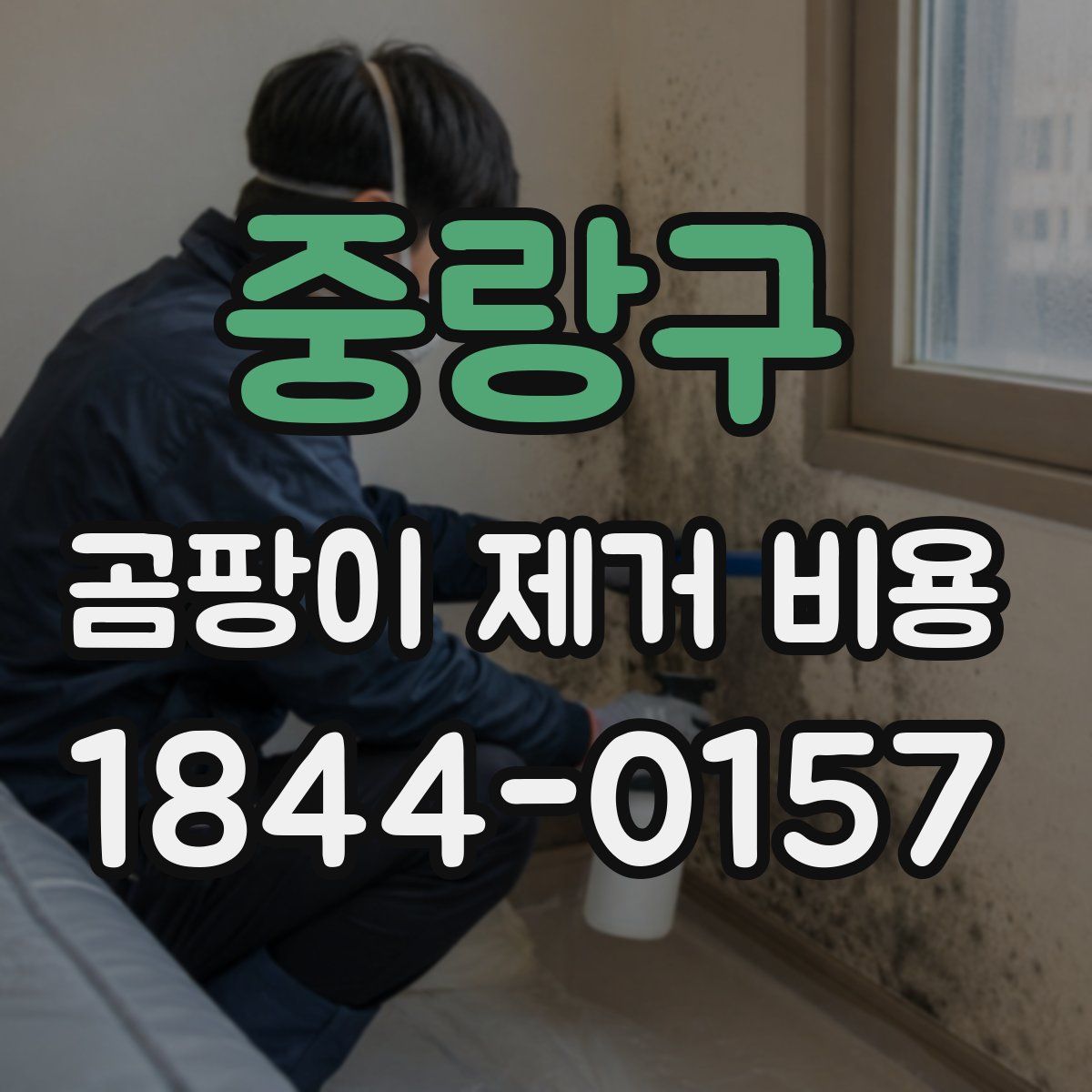 중랑구 곰팡이 제거 비용