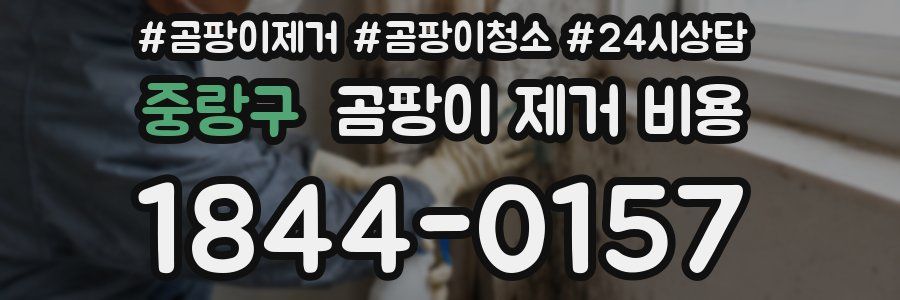 중랑구 곰팡이 제거 비용