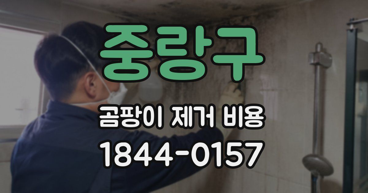 중랑구 곰팡이 제거 비용
