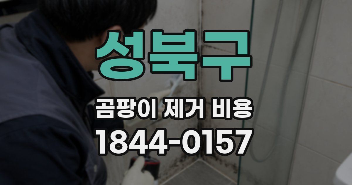 성북구 곰팡이 제거 비용