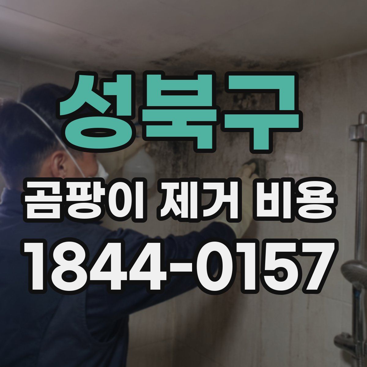 성북구 곰팡이 제거 비용