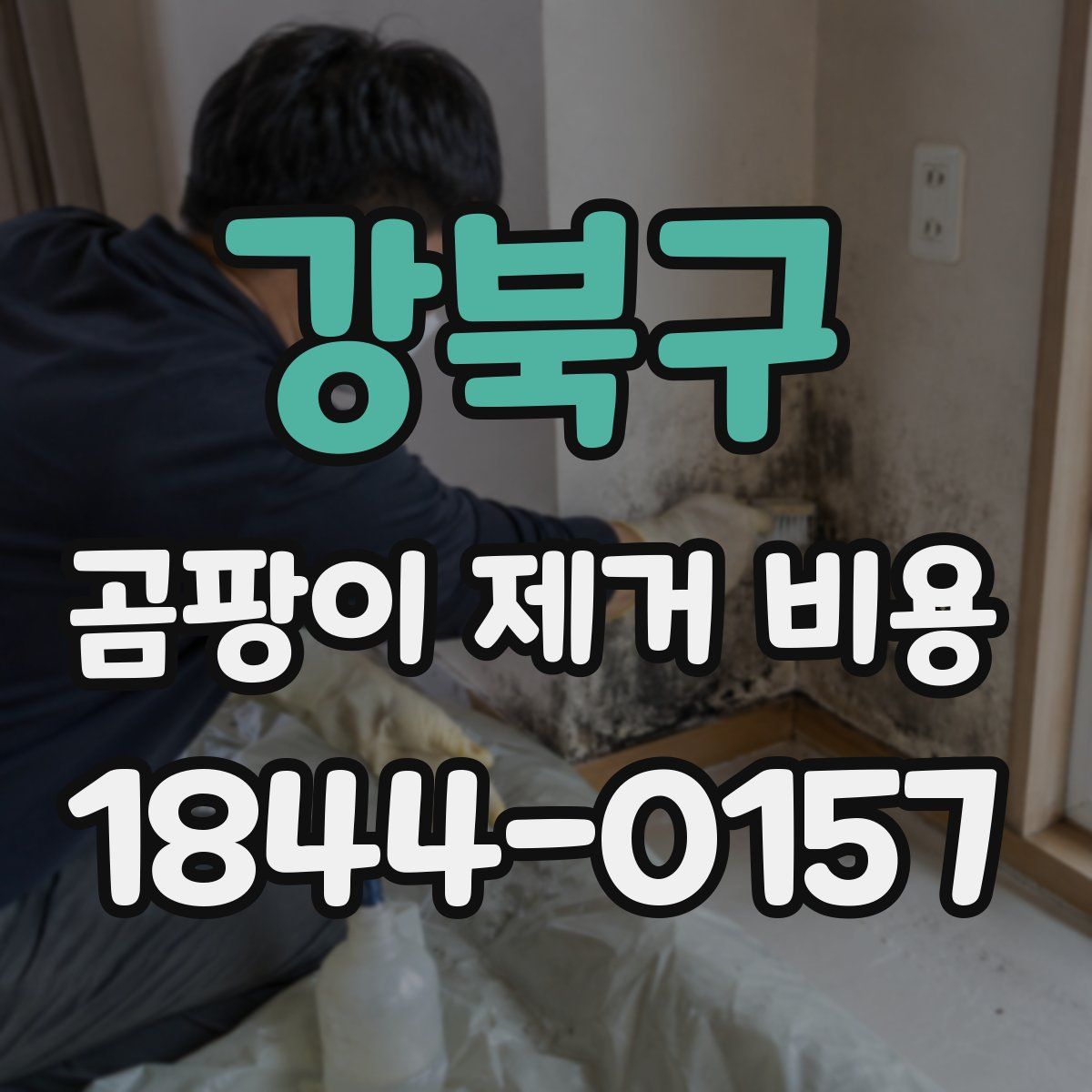 강북구 곰팡이 제거 비용