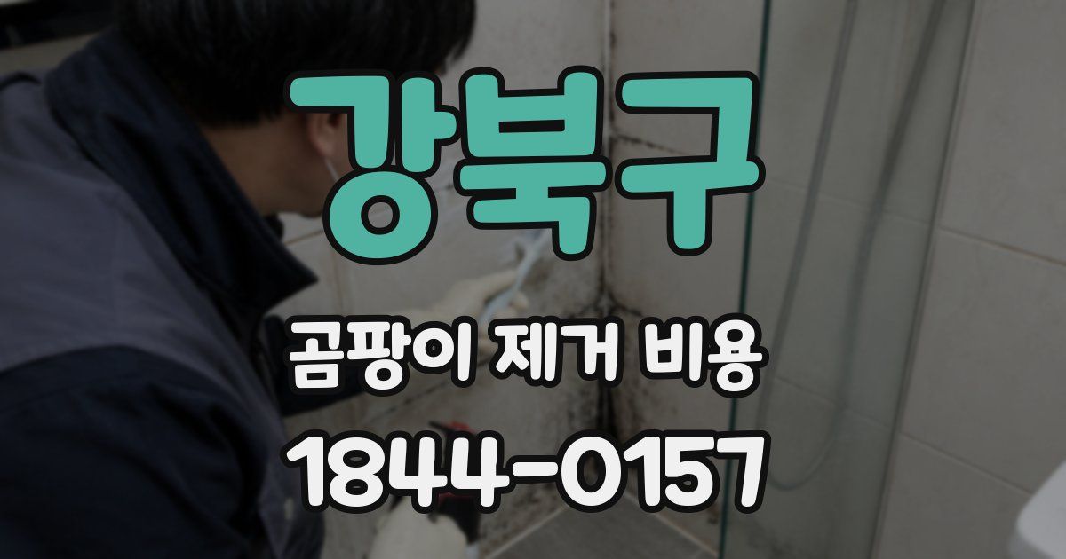 강북구 곰팡이 제거 비용