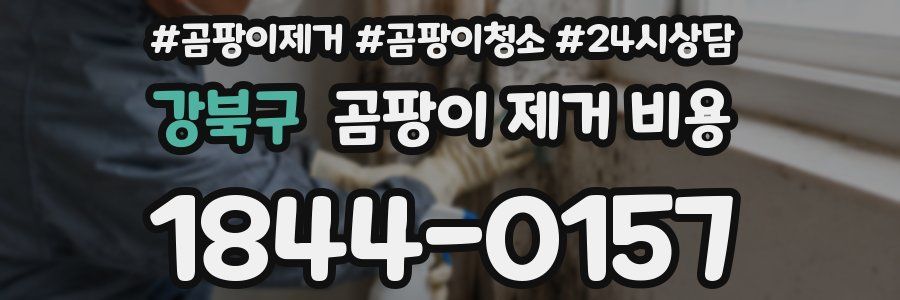 강북구 곰팡이 제거 비용