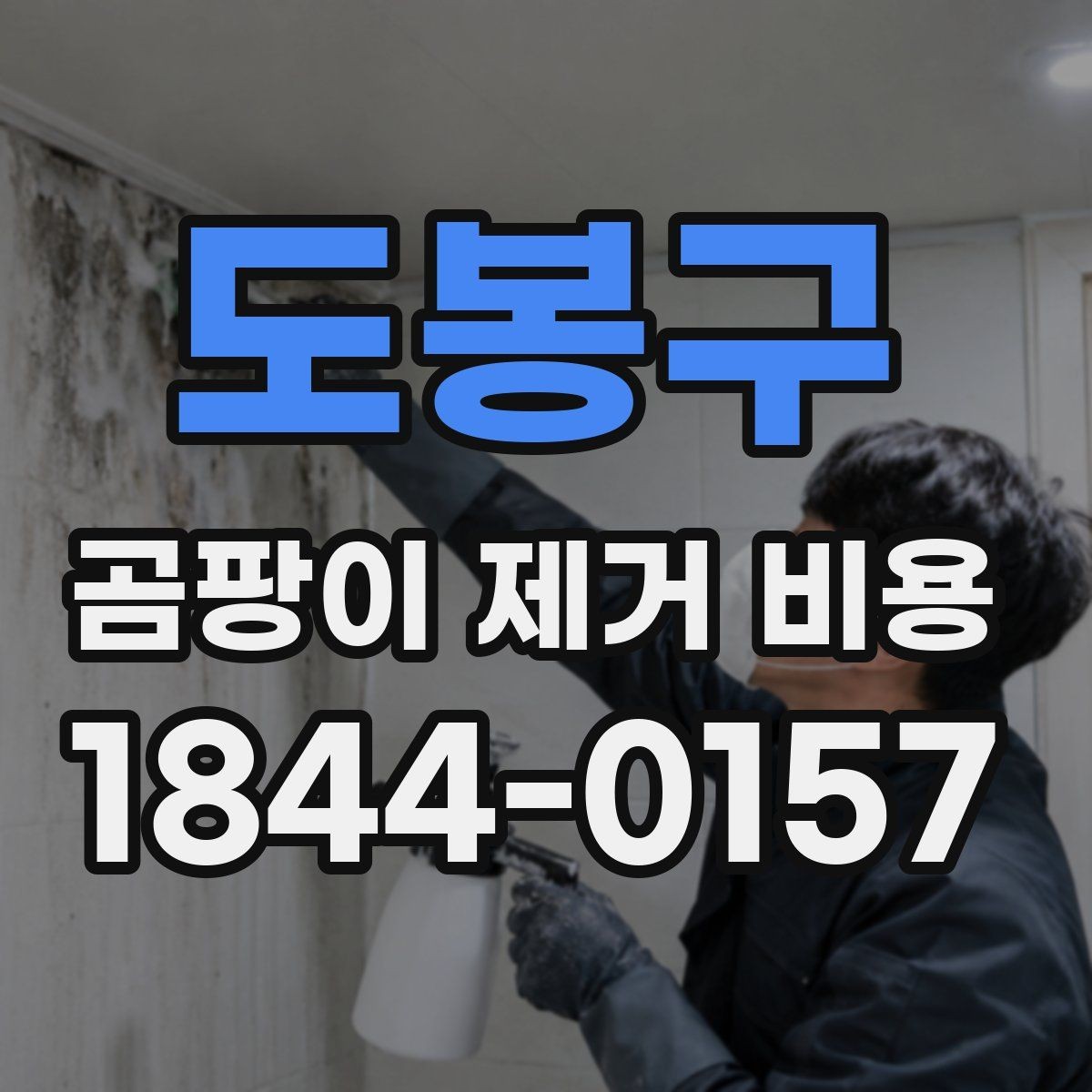 도봉구 곰팡이 제거 비용 실측 후 공사 내역이 바뀌는 경우