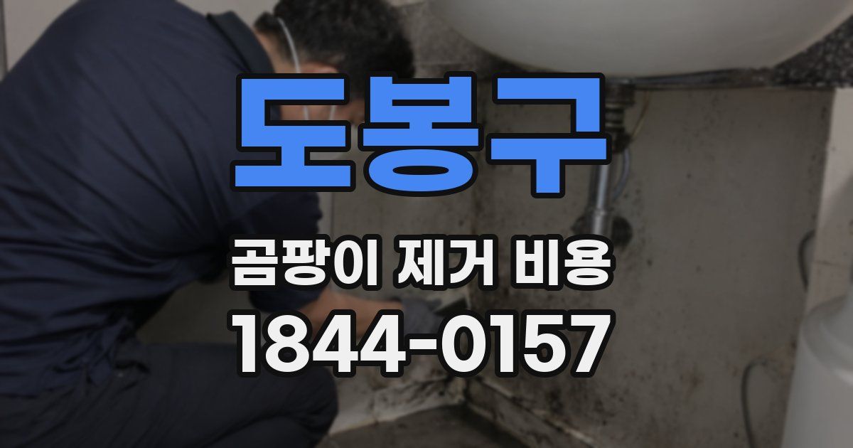 도봉구 곰팡이 제거 비용