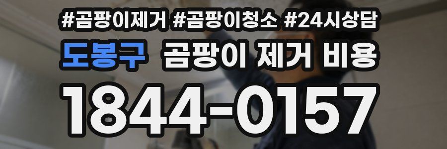 도봉구 곰팡이 제거 비용