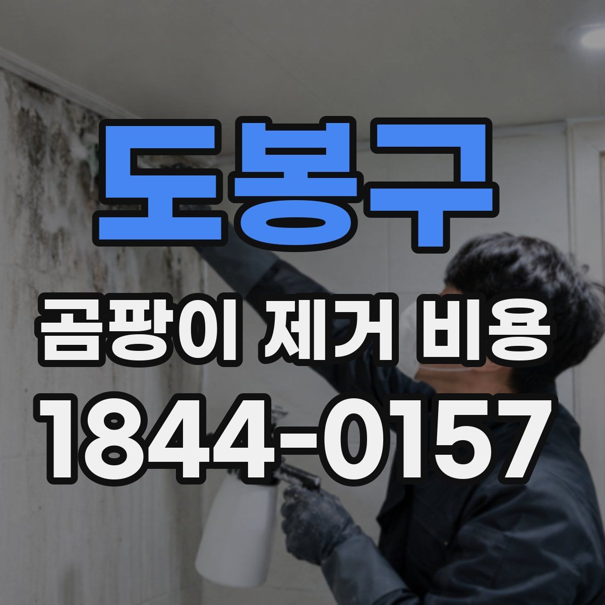 도봉구 곰팡이 제거 비용