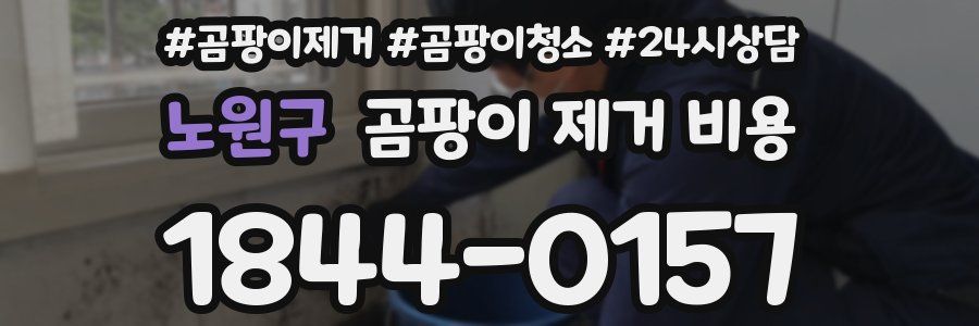 노원구 곰팡이 제거 비용