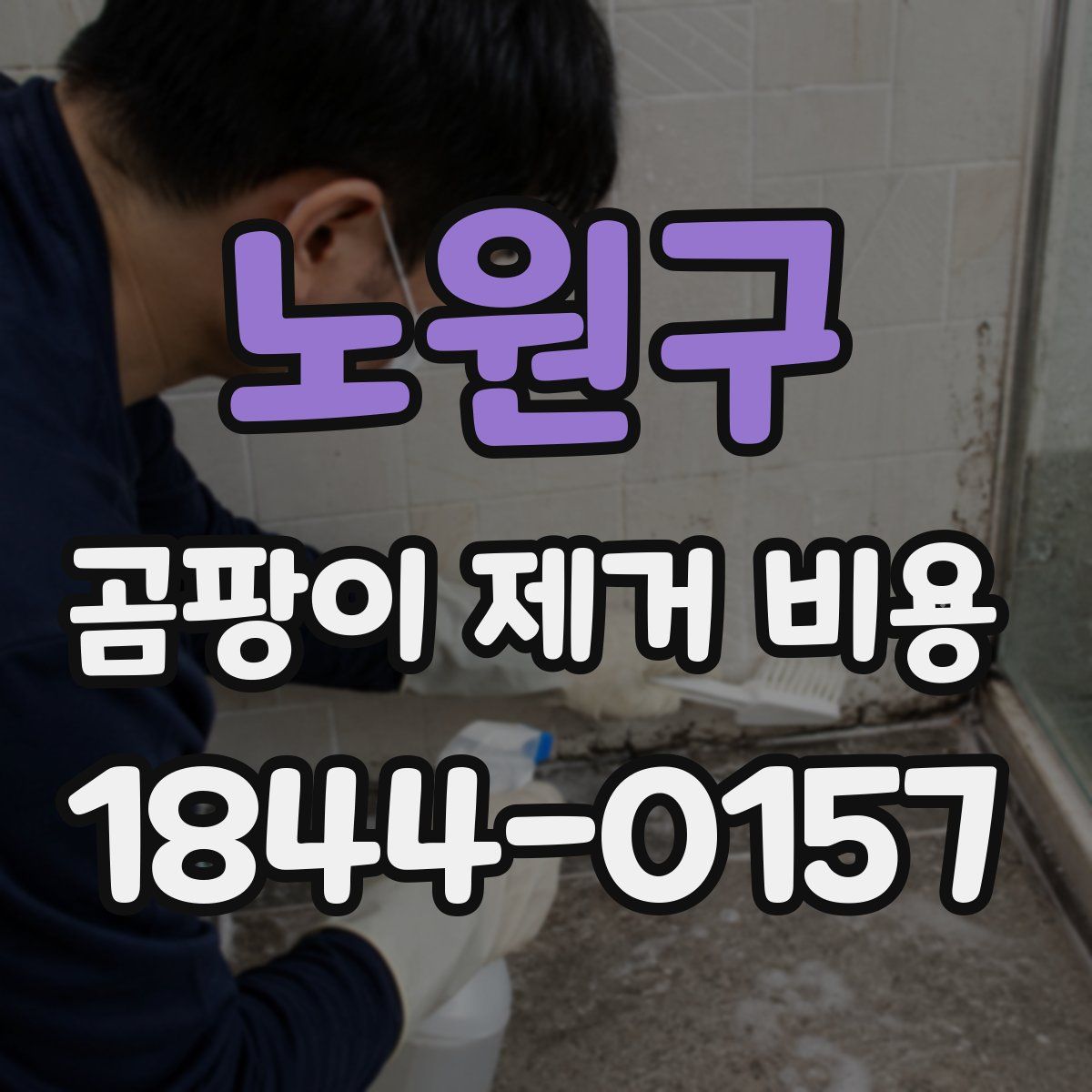노원구 곰팡이 제거 비용