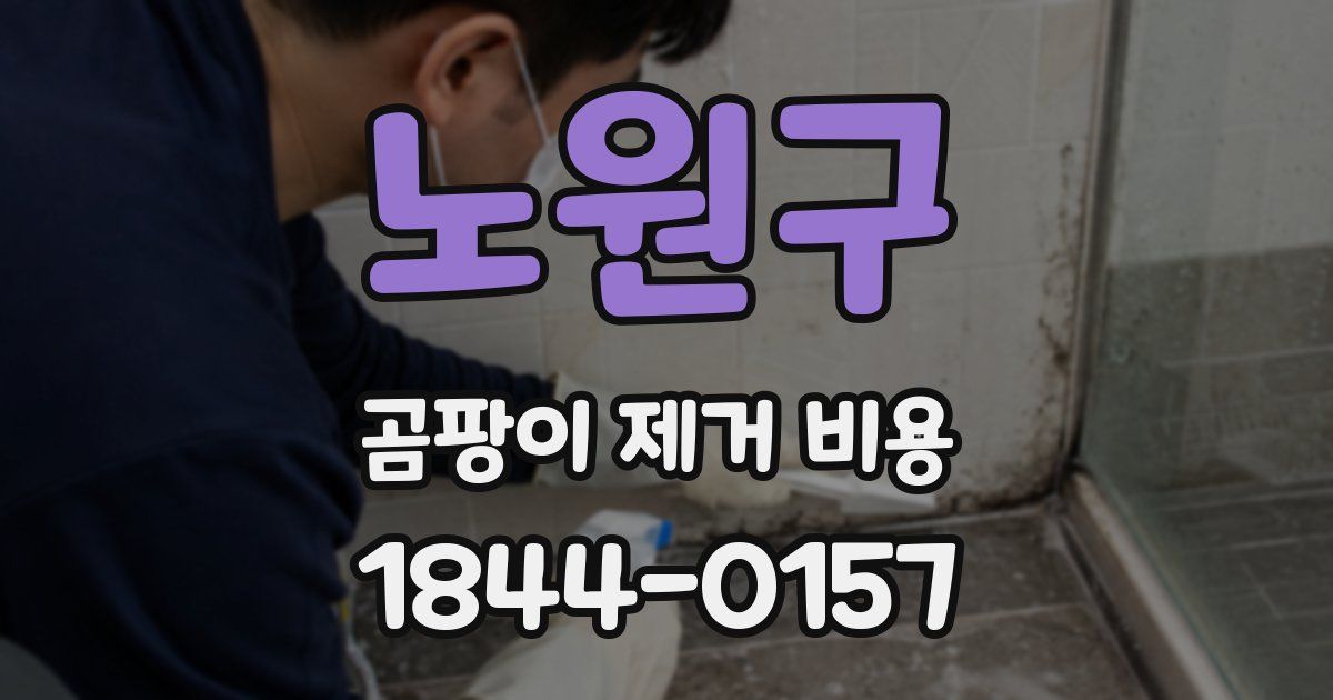 노원구 곰팡이 제거 비용