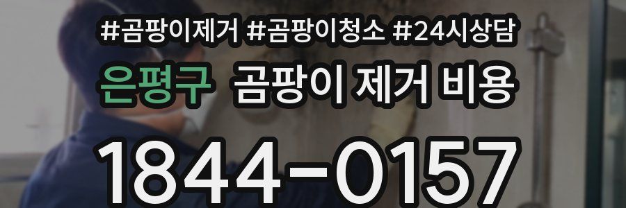 은평구 곰팡이 제거 비용