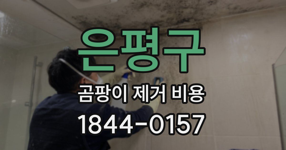 은평구 곰팡이 제거 비용