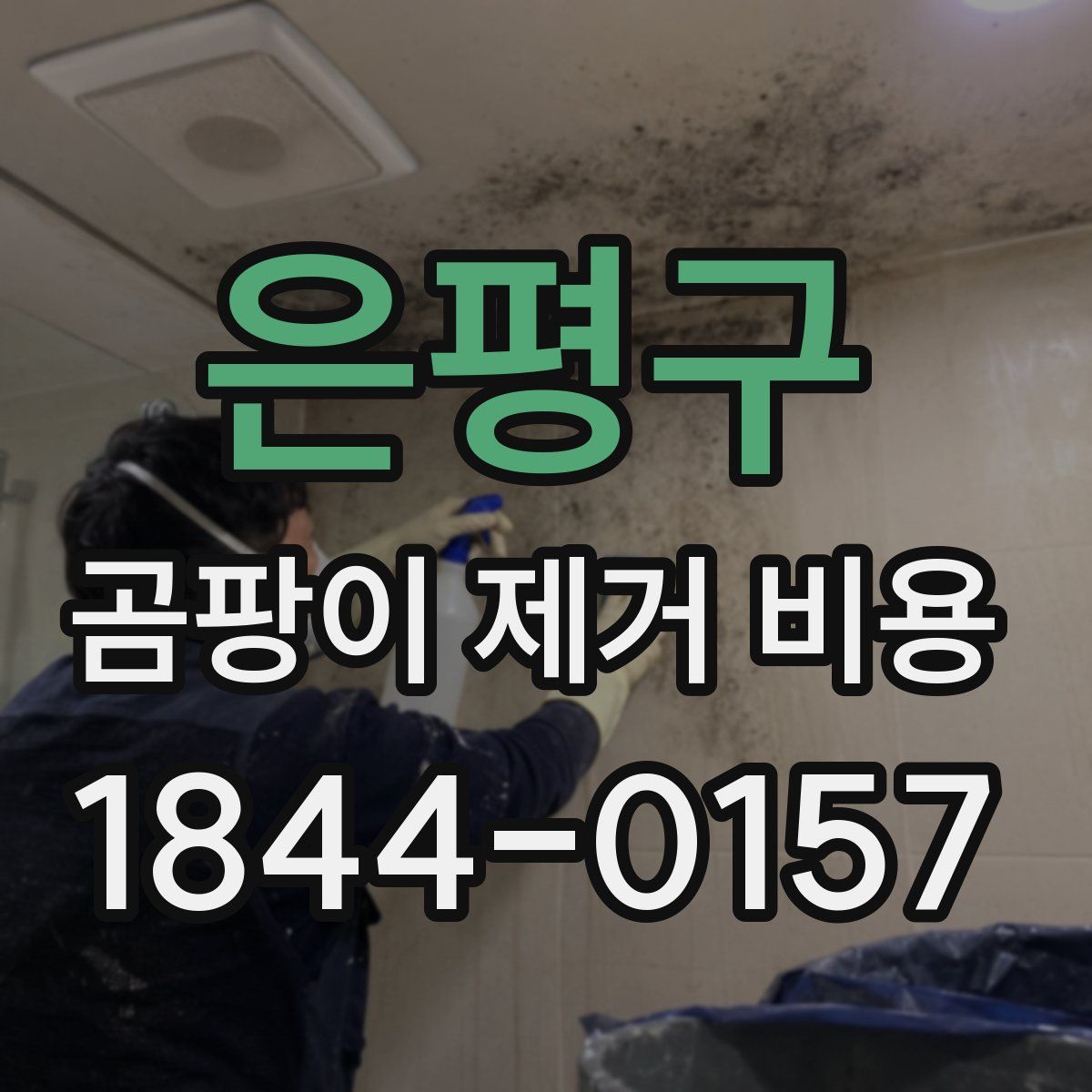 은평구 곰팡이 제거 비용