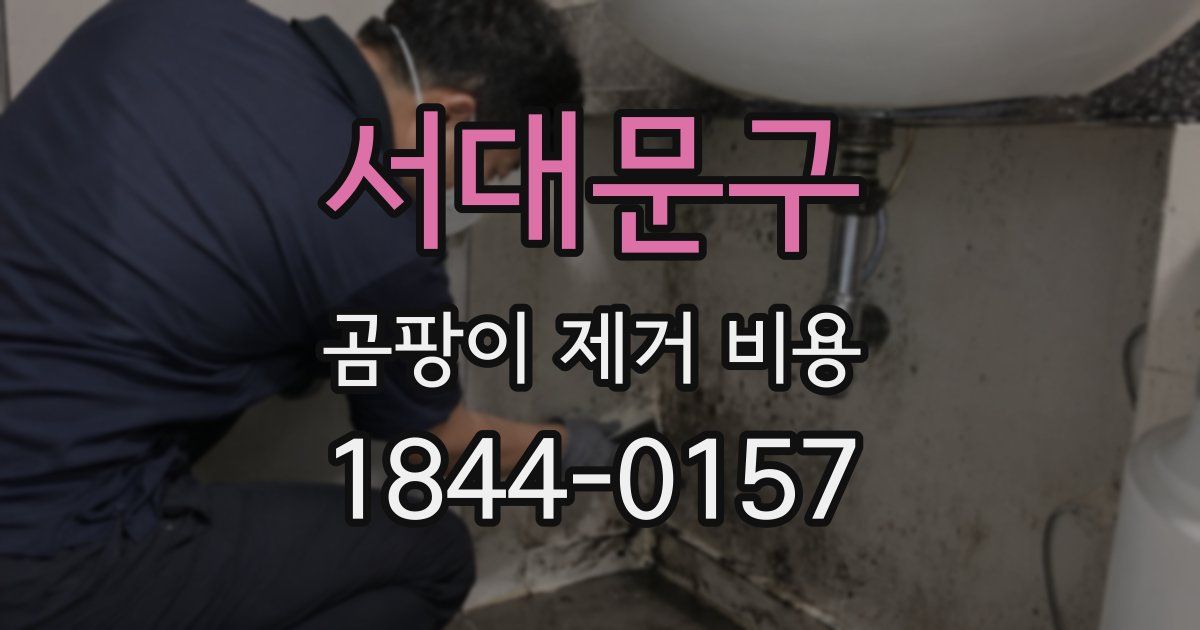서대문구 곰팡이 제거 비용