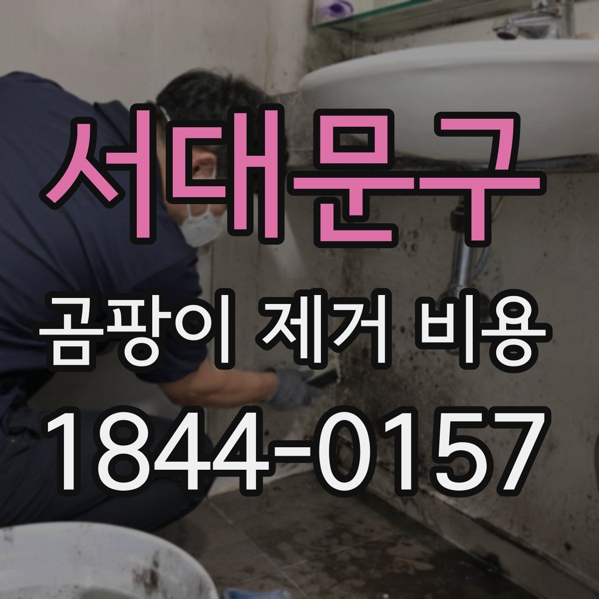 서대문구 곰팡이 제거 비용