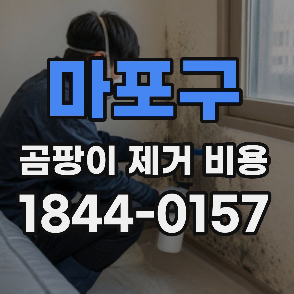 마포구 곰팡이 제거 비용