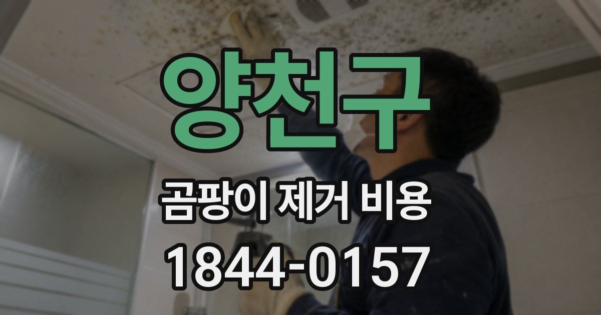 양천구 곰팡이 제거 비용