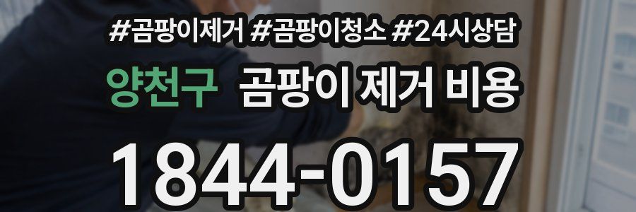 양천구 곰팡이 제거 비용