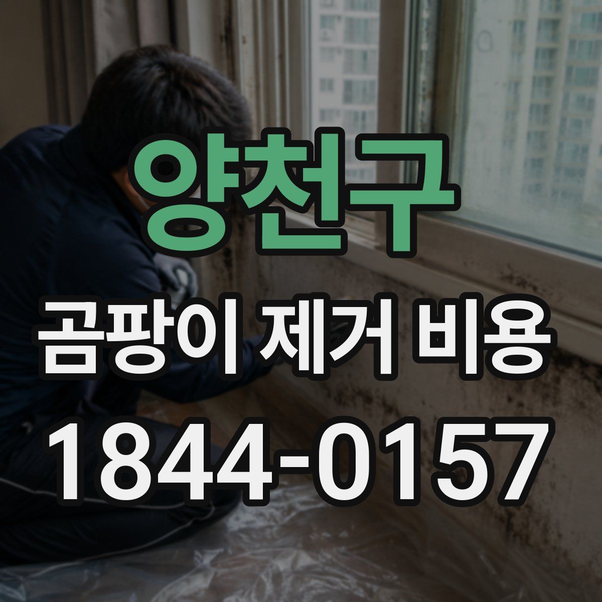 양천구 곰팡이 제거 비용