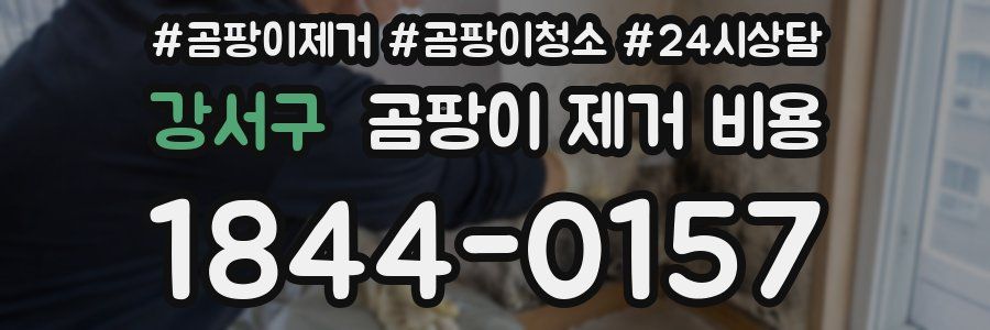 강서구 곰팡이 제거 비용