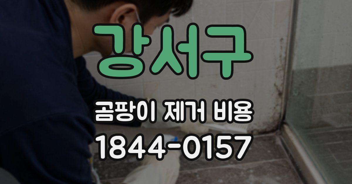 강서구 곰팡이 제거 비용