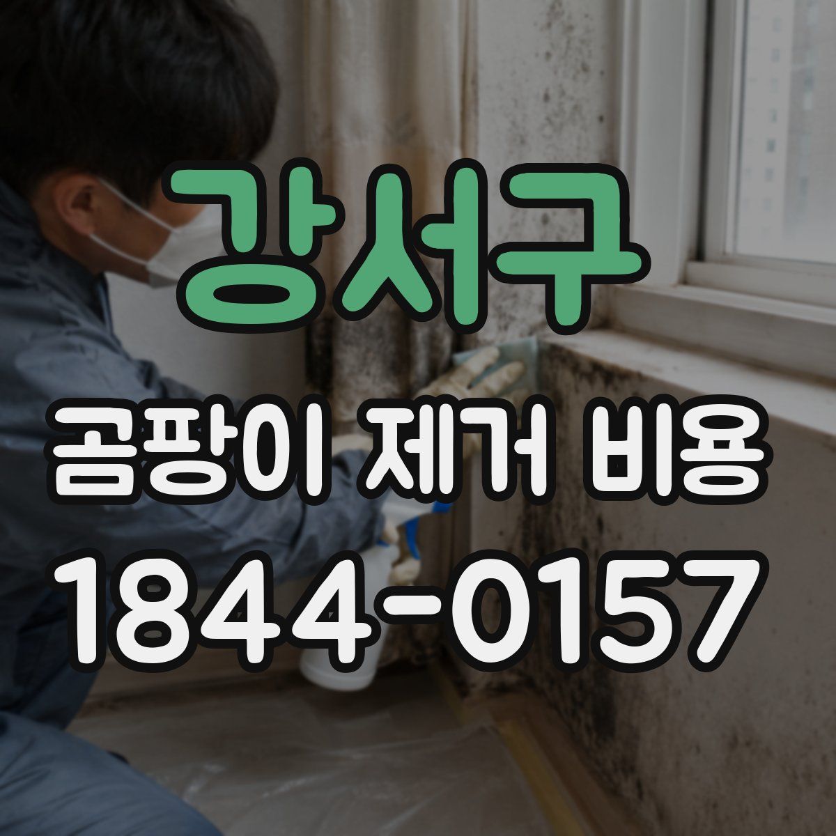 강서구 곰팡이 제거 비용
