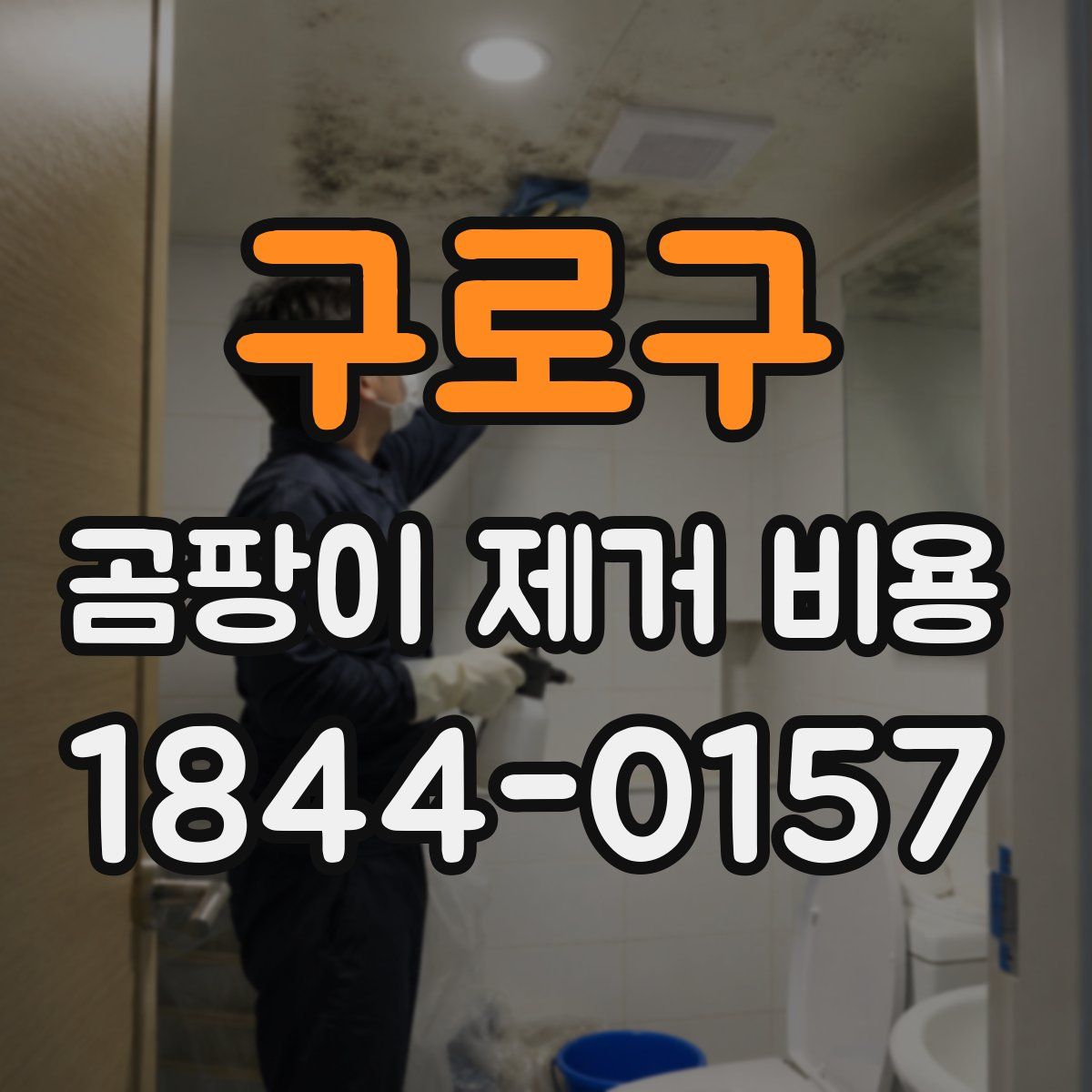 구로구 곰팡이 제거 비용