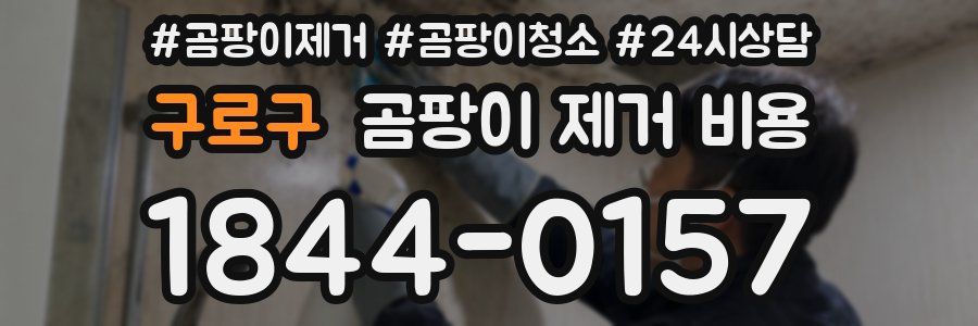 구로구 곰팡이 제거 비용