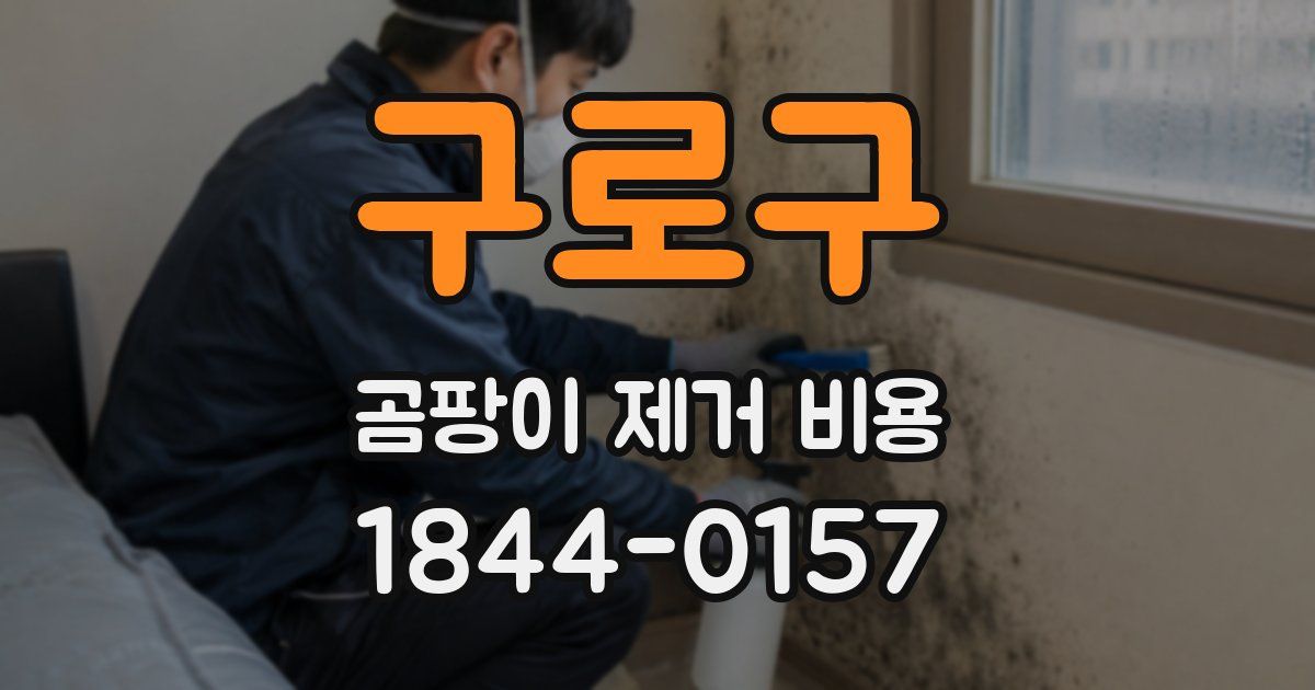 구로구 곰팡이 제거 비용
