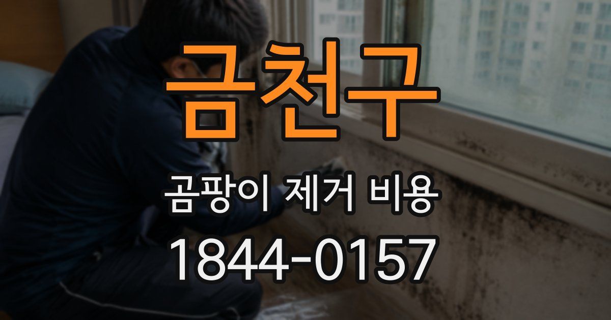 금천구 곰팡이 제거 비용