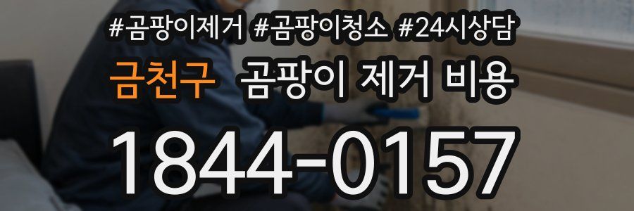 금천구 곰팡이 제거 비용