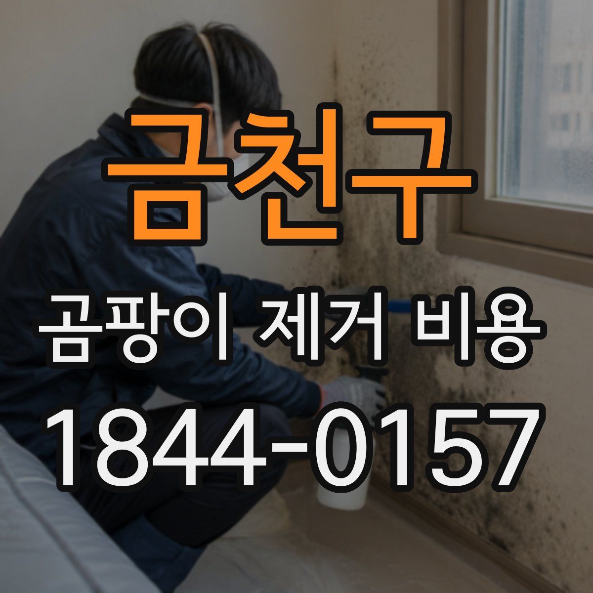 금천구 곰팡이 제거 비용