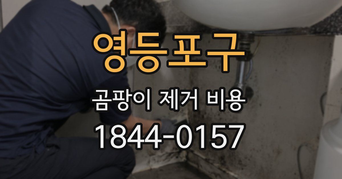 영등포구 곰팡이 제거 비용