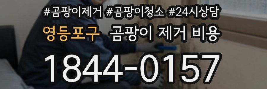 영등포구 곰팡이 제거 비용