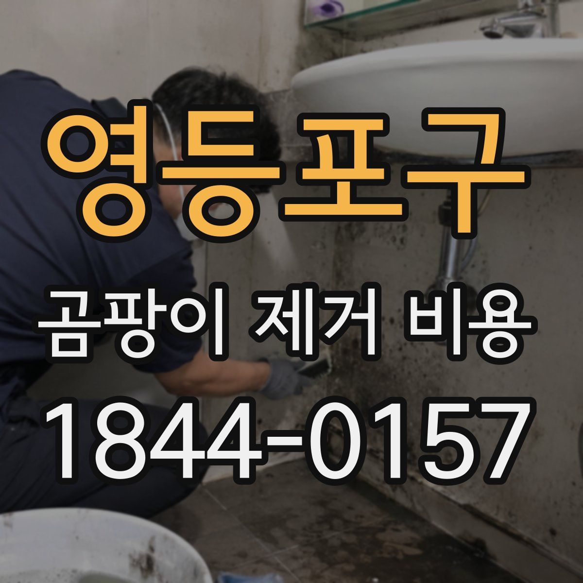 영등포구 곰팡이 제거 비용