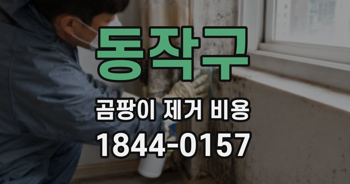 동작구 곰팡이 제거 비용