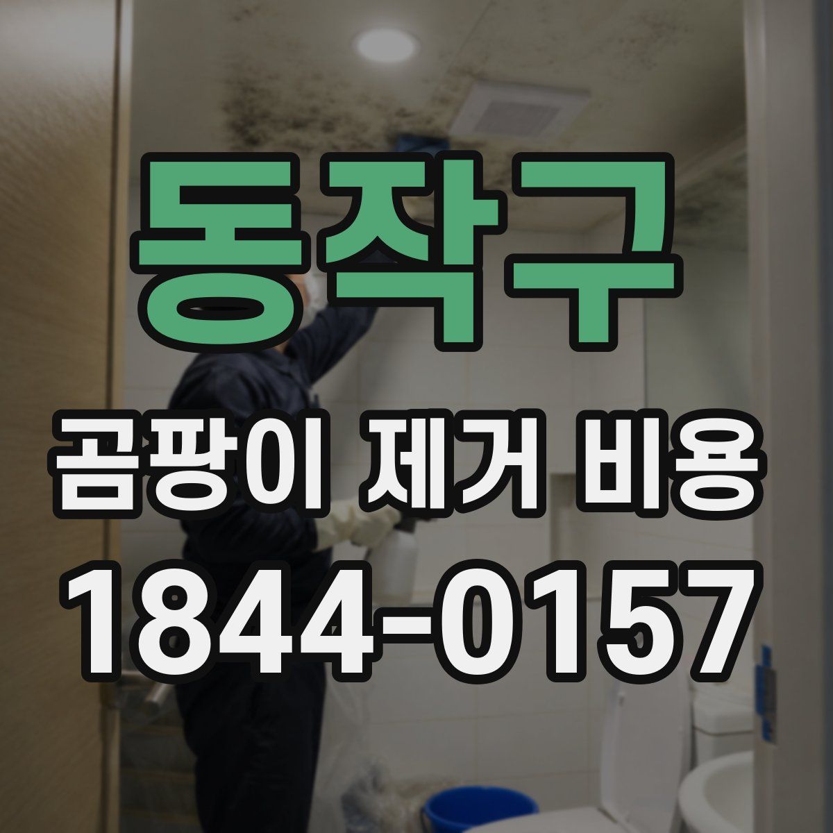 동작구 곰팡이 제거 비용
