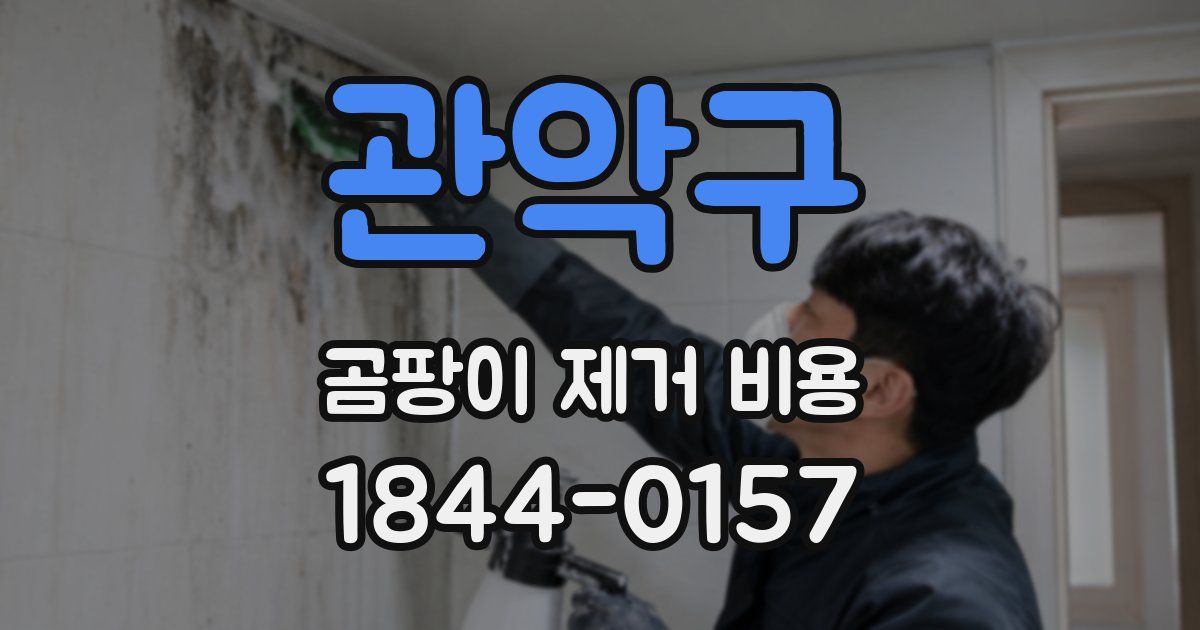 관악구 곰팡이 제거 비용