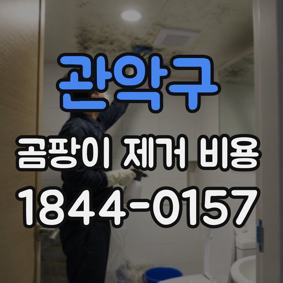 관악구 곰팡이 제거 비용