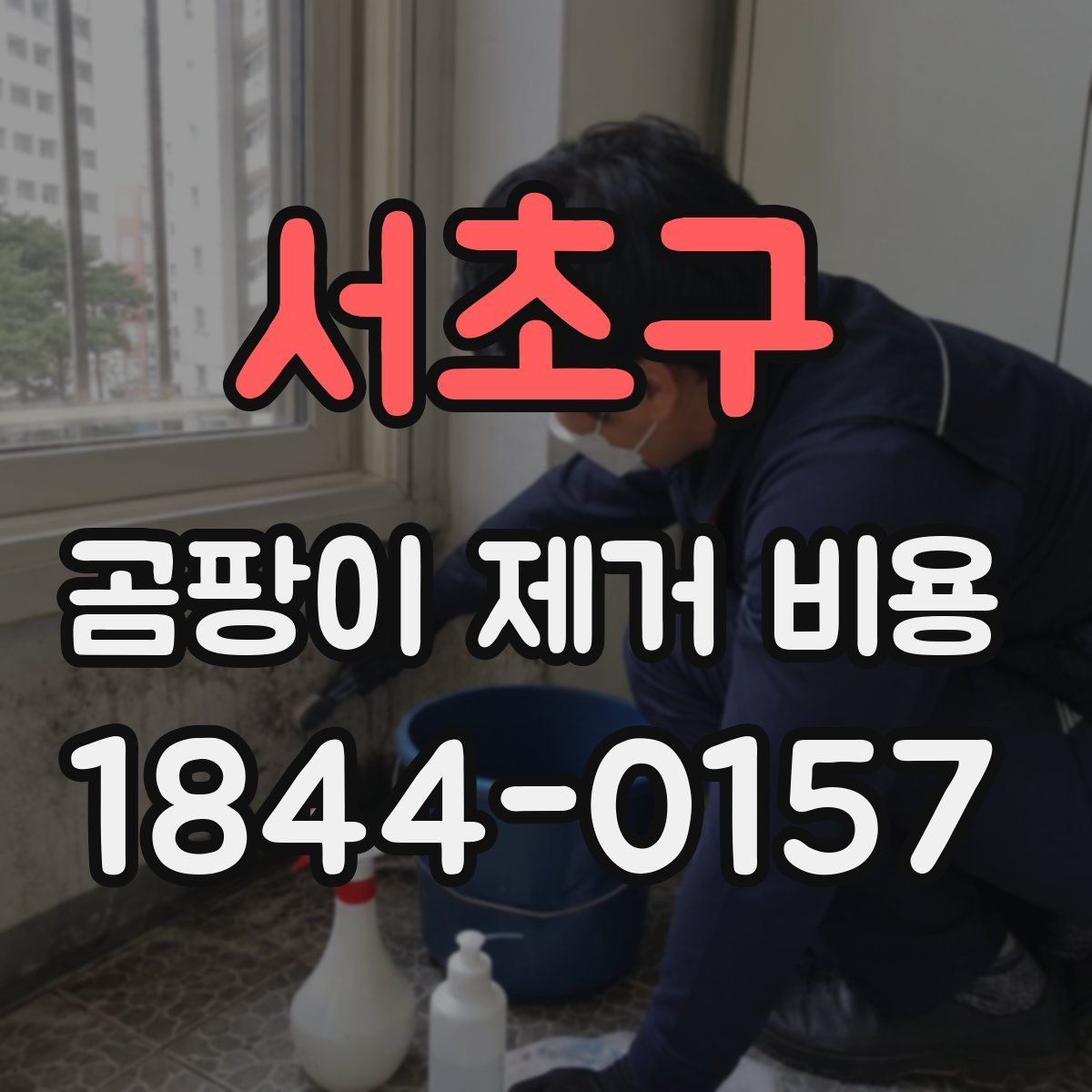 서초구 곰팡이 제거 비용