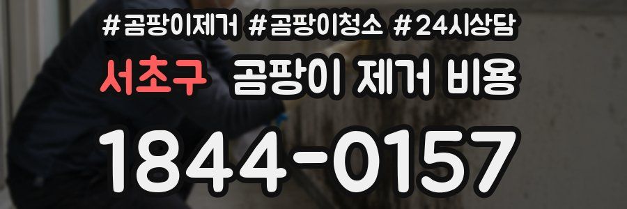 서초구 곰팡이 제거 비용