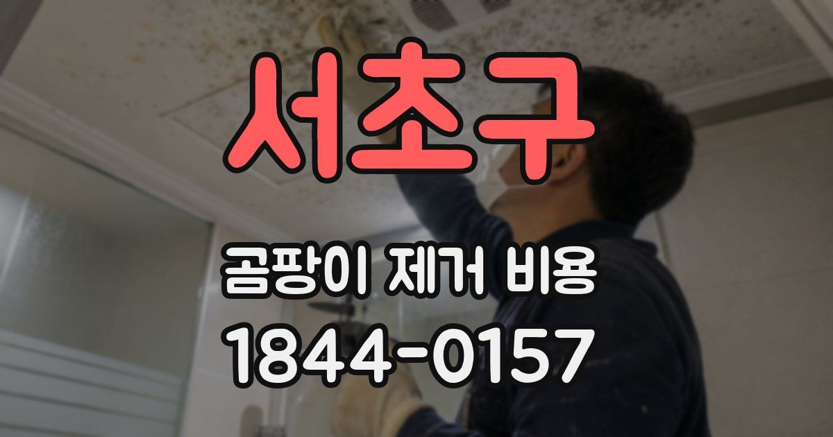 서초구 곰팡이 제거 비용