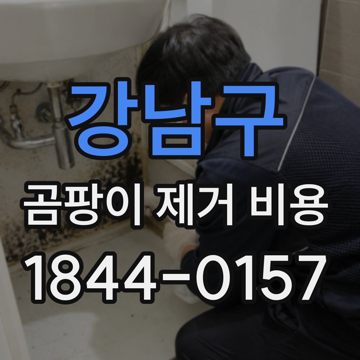 강남구 곰팡이 제거 비용