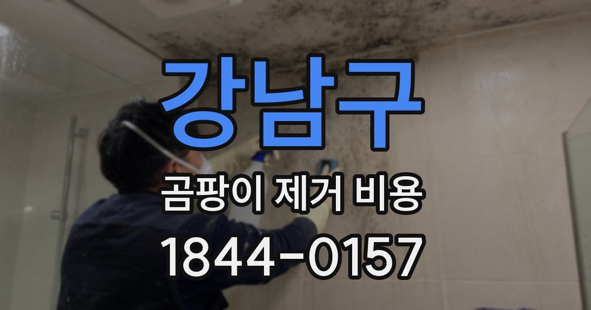 강남구 곰팡이 제거 비용