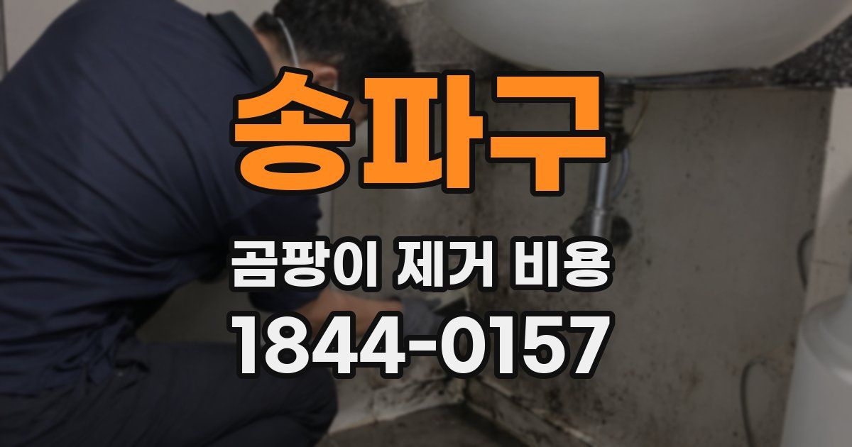 송파구 곰팡이 제거 비용